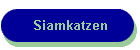 Siamkatzen